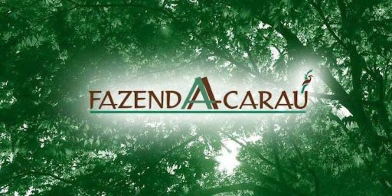 Parceiro